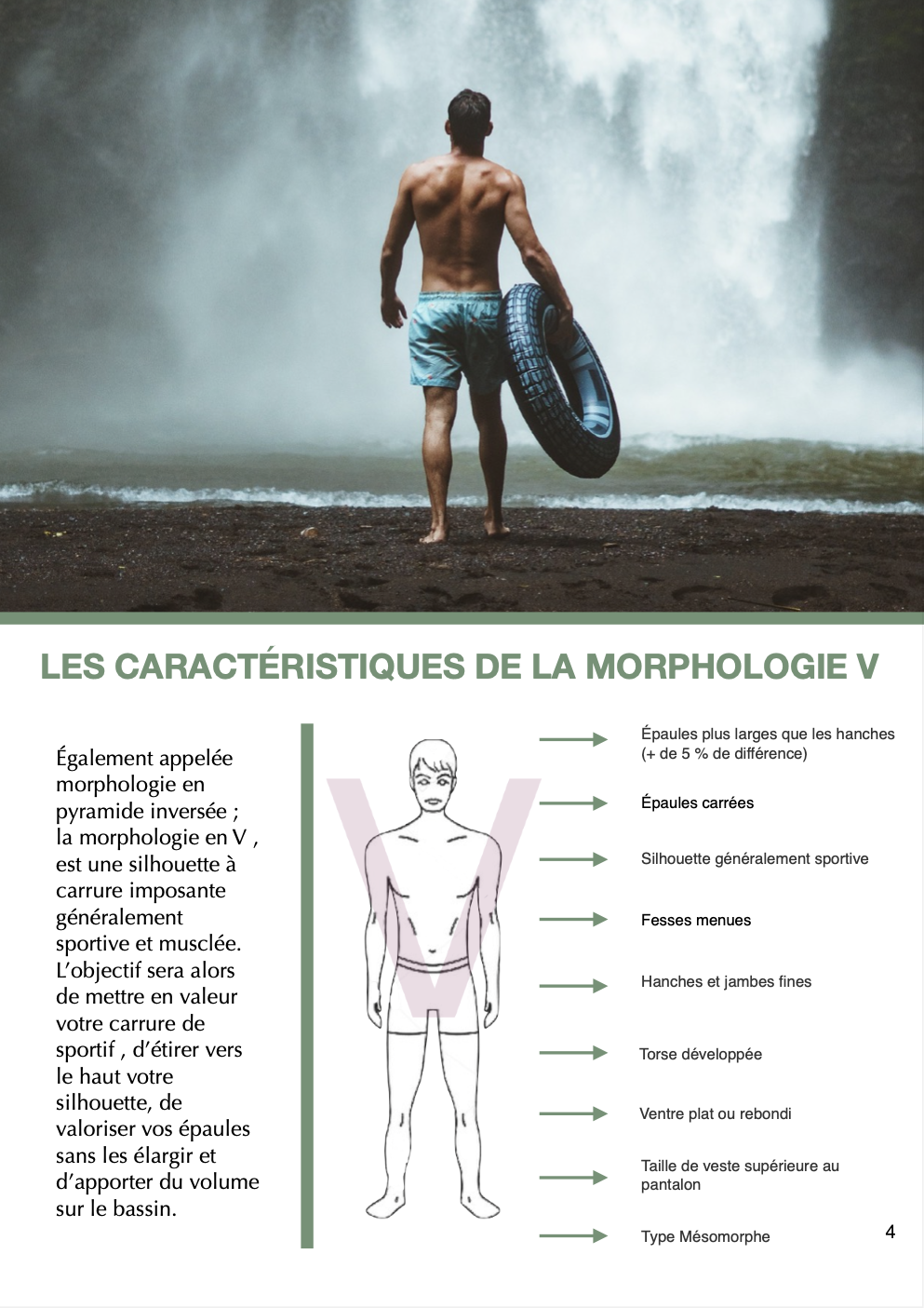 GUIDE MORPHOLOGIE V