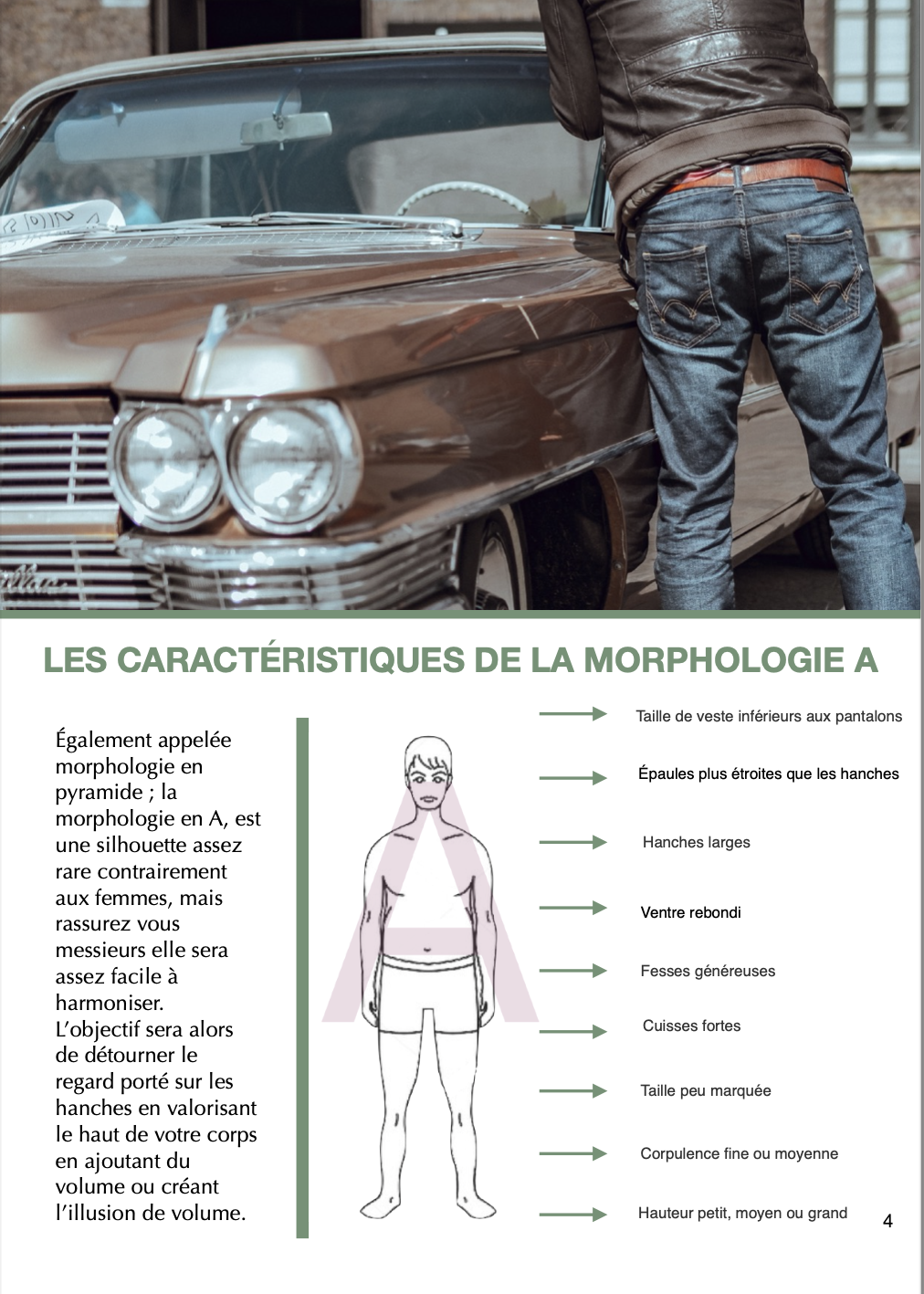 GUIDE MORPHOLOGIE A