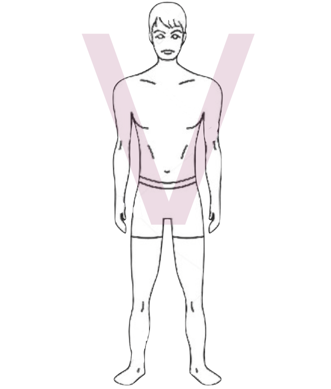 GUIDE MORPHOLOGIE V