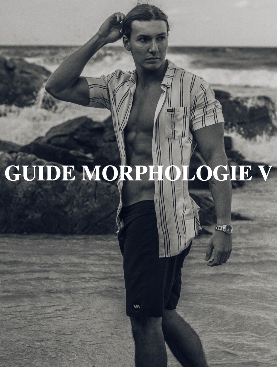 GUIDE MORPHOLOGIE V